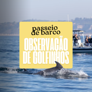 Passeio de Barco: Observação de Golfinhos